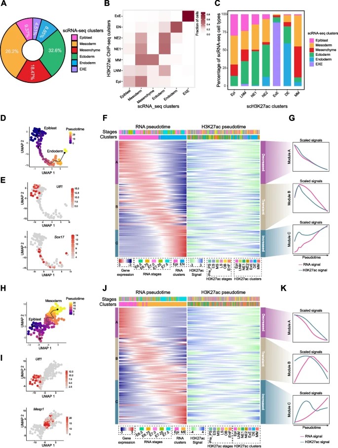 Integrative analysis of single-cell H3K27ac ChIP-seq and single-cell RNA-seq datasets of the mouse gastrula.