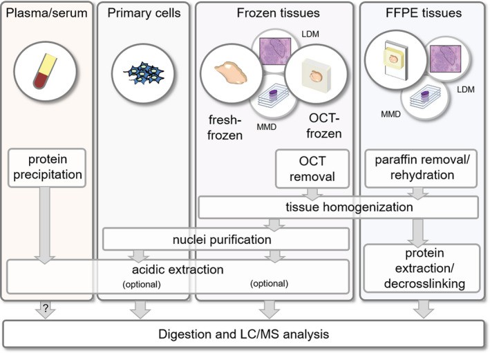 Sample Preparation Protocols for Histone PTM Analysis: Critical Steps for Reliable Data