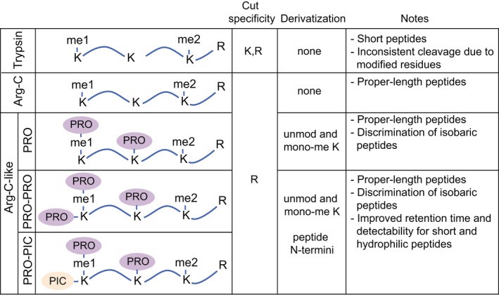 Digestion approaches for MS bottom‐up histone PTM analysis.