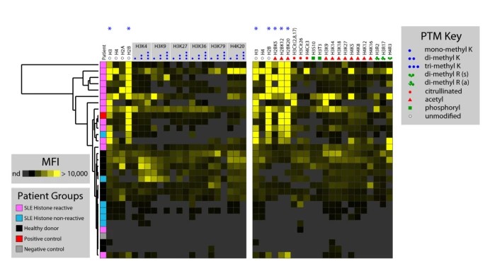 Targeted vs Global Approaches in Histone PTM Profiling: When to Use Which?