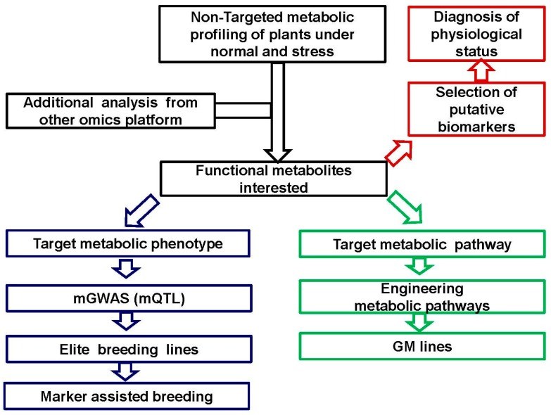 The schematic presentation of plant metabolomics and its application in plant improvement.
