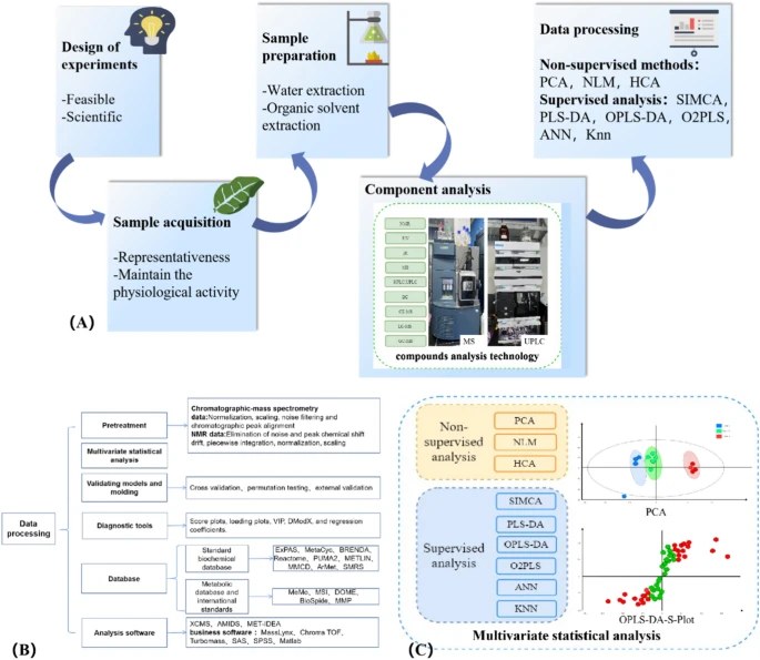 Process, technology and methods of plant metabolomics.