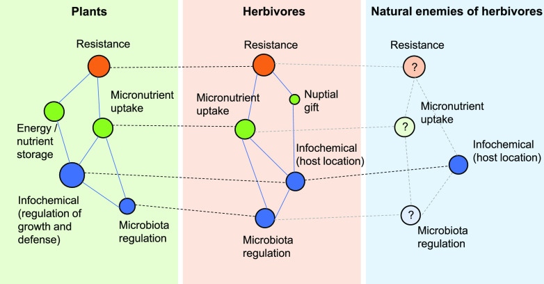 Functional integration of plant secondary metabolites shapes plant–herbivore and tritrophic interactions.