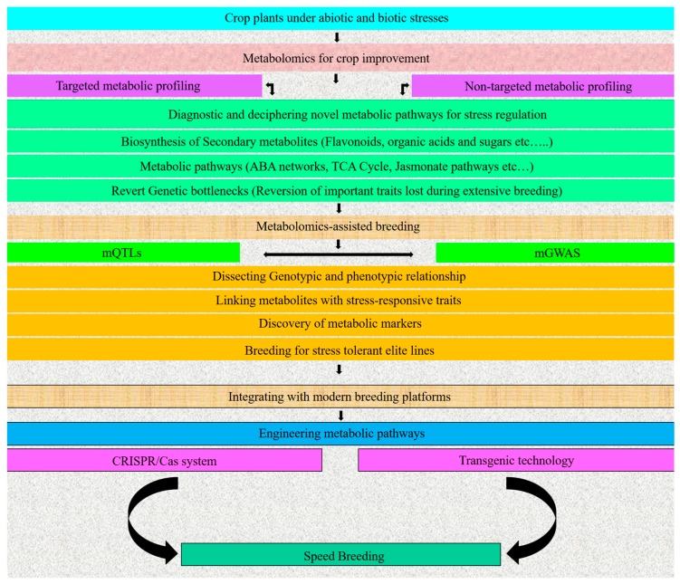 Flowchart outlining the board mechanisms in plant metabolomics for crop improvement.