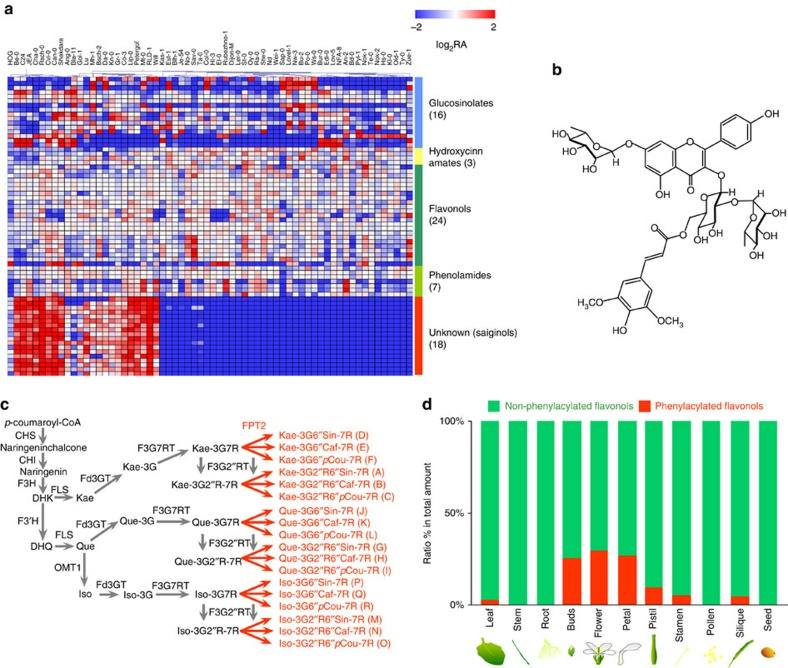Metabolomics technology has led to the discovery of novel benzoylated flavonol glycosides.