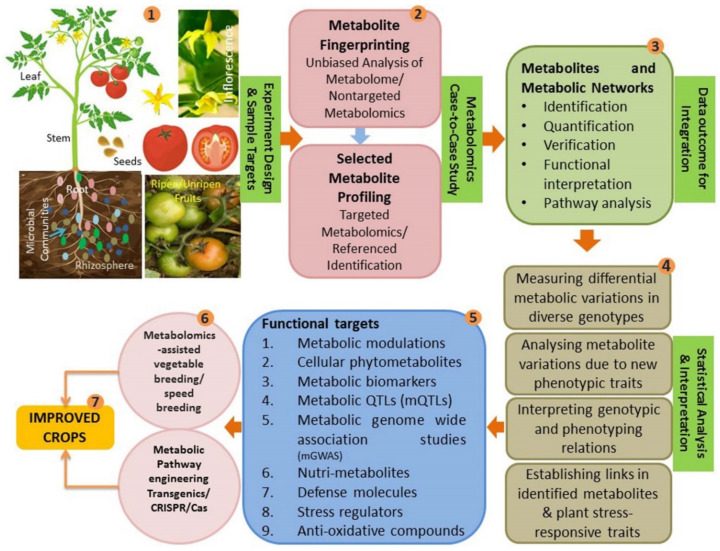 Schematic presentation of metabolomics applications in crop improvement programs.