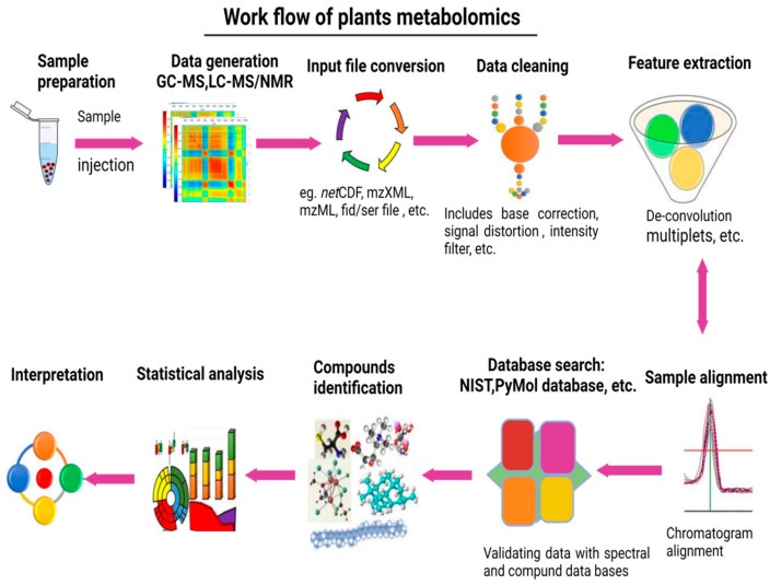 Respective illustration of the processes involved in plant metabolomics analysis of GC–MS, LC-MS, CE-MS, and NMR-based chromatography.
