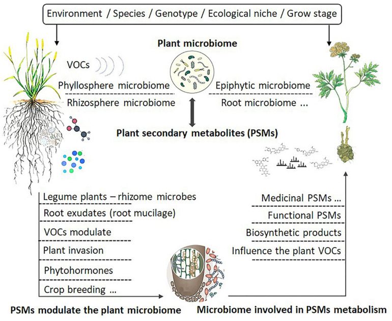 Factors influencing the interactions between plant secondary metabolites and plant microbiomes.