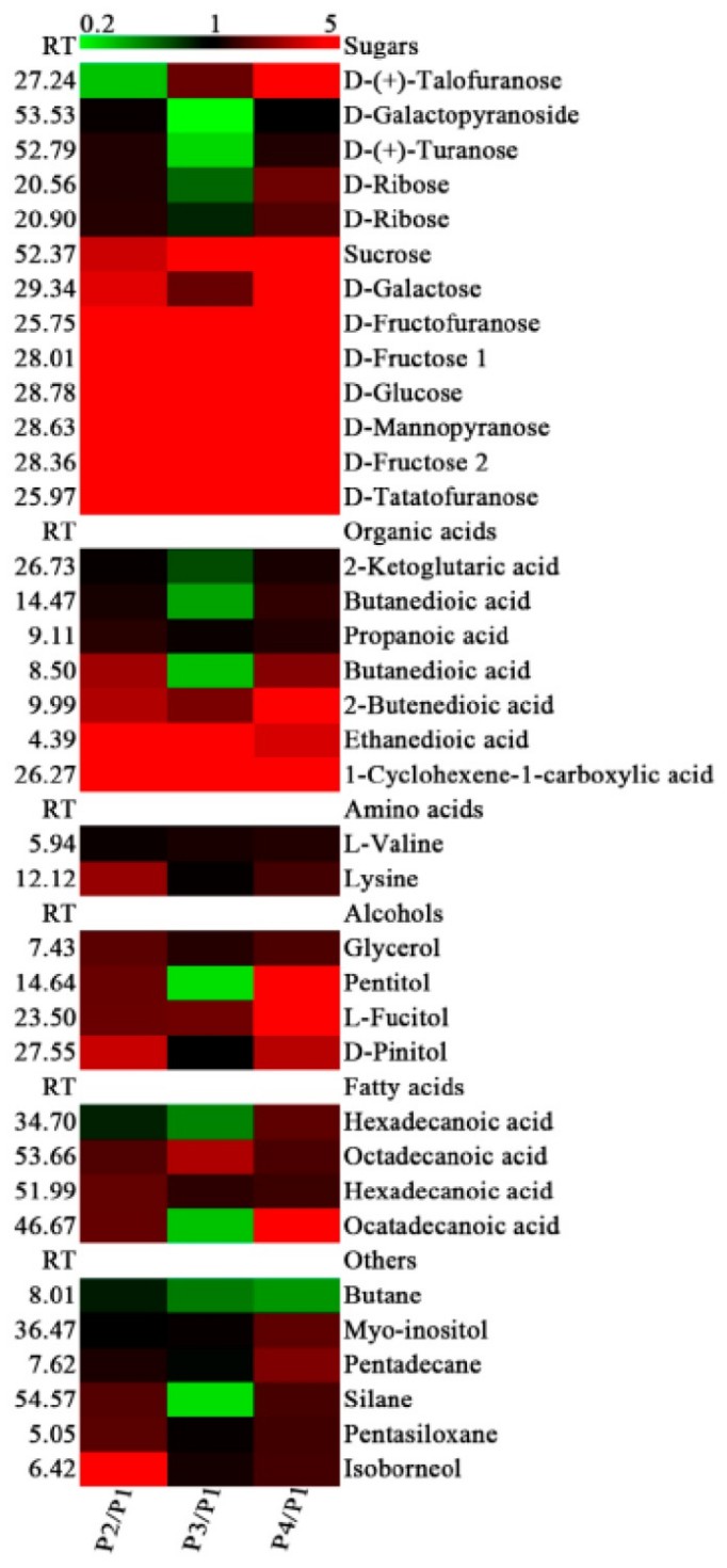Differentially accumulated primary metabolites in the peel of banana fruit at different stages of ripening.