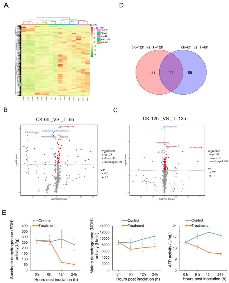Effect of Streptomyces sp. Y1-14 on secondary metabolism of Foc TR4. 