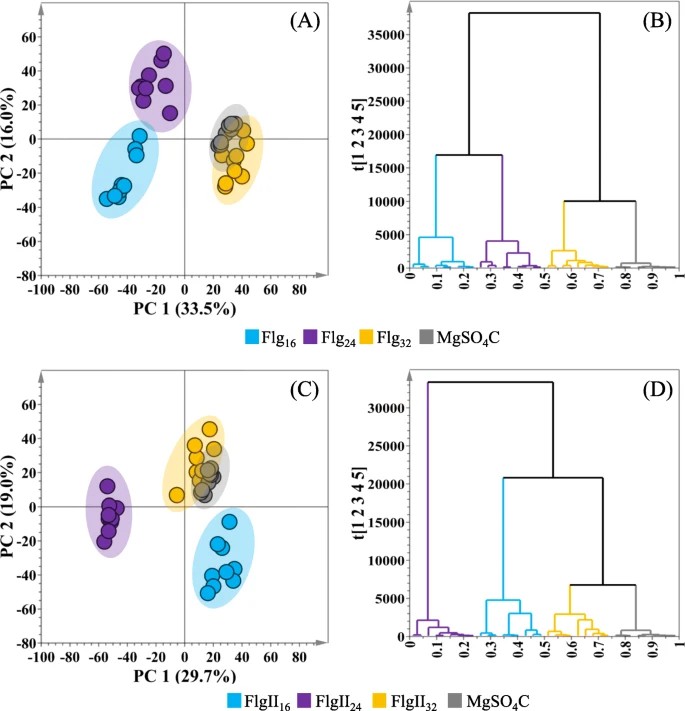 Figure 3. PCA and HiCA models of UHPLC-MS ESI(–) data of extracts from tomato leaves.