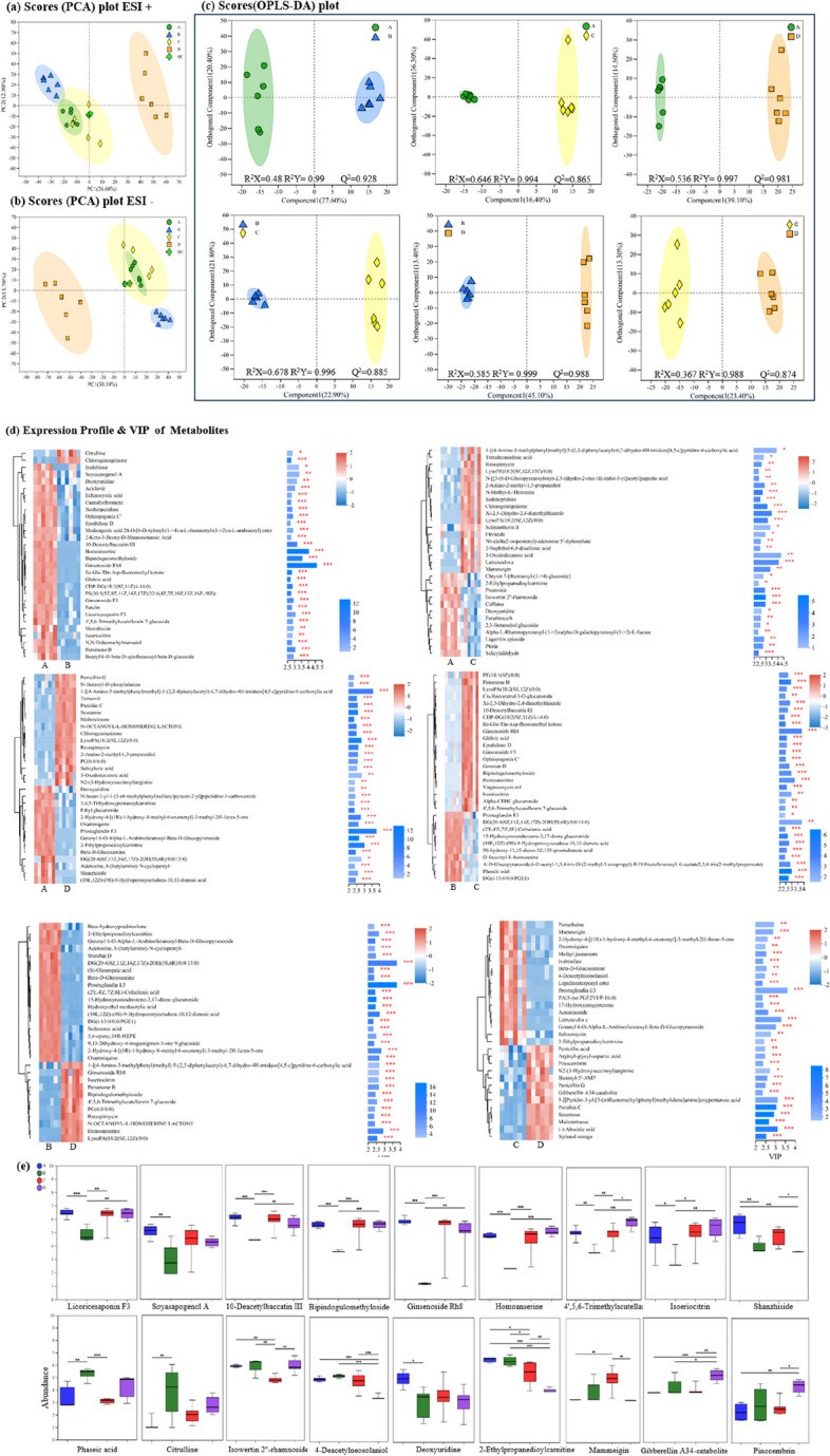 Figure 5. Effects of different harvest periods on Astragalus root metabolome.