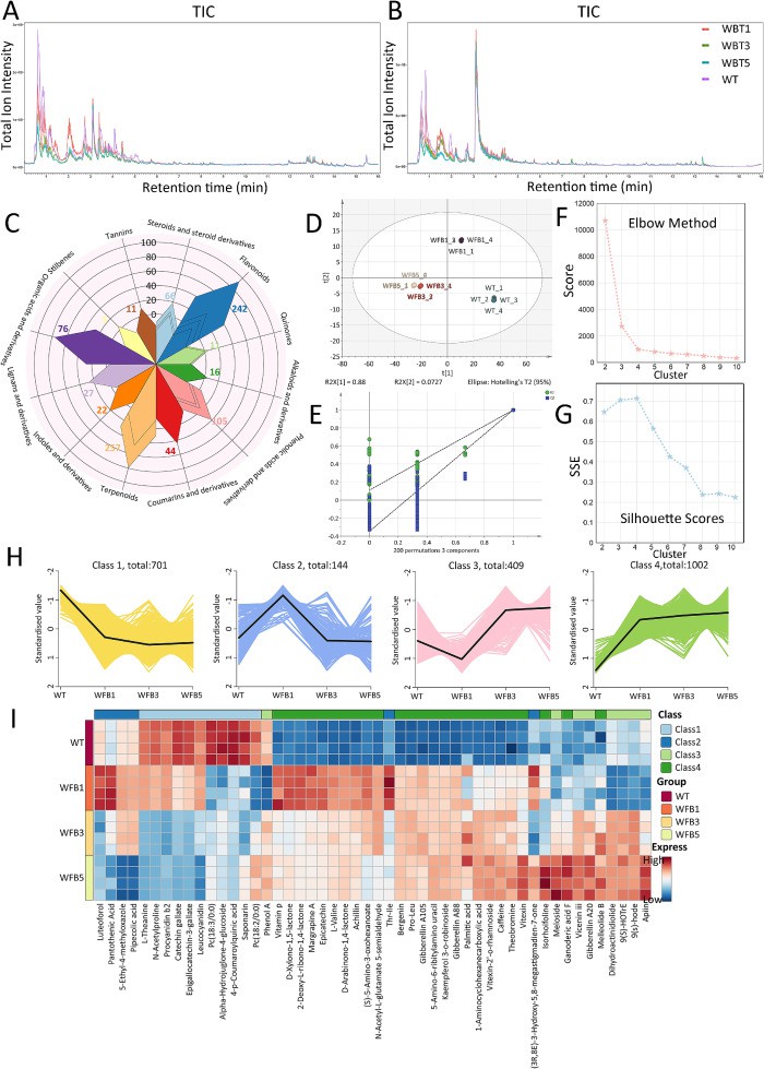 Figure 3. Characterization of non-volatile metabolites during the storage of Jinhua white tea. 