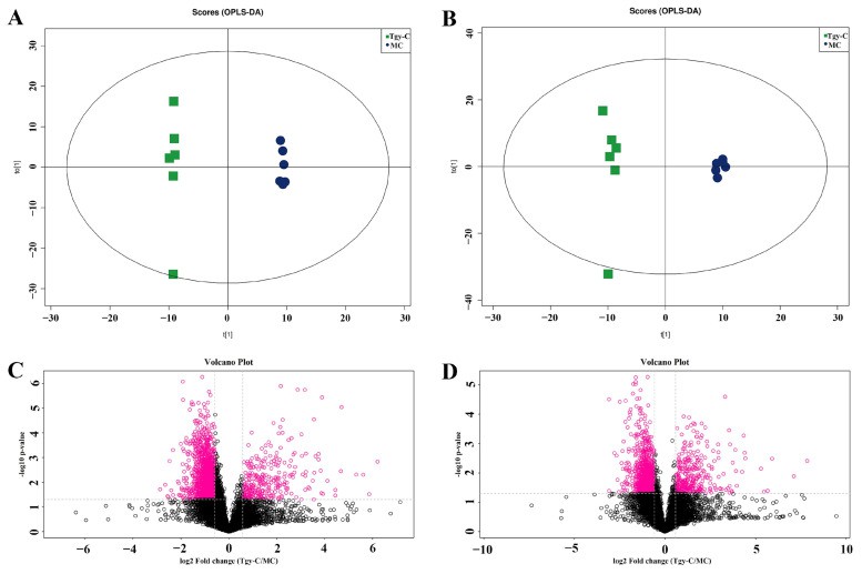 Figure 4. Tgy-C treatment changed the profile of metabolome in AD model mice.