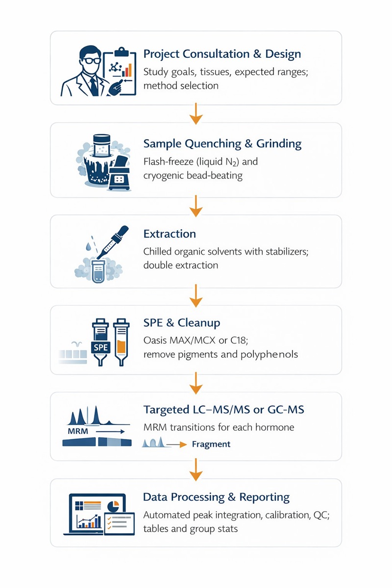 Plant Hormones Analysis Workflow