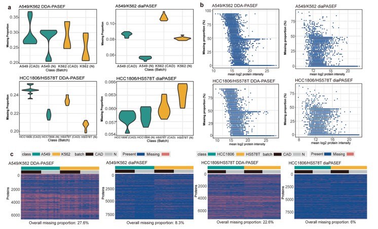 Example deliverables including quant matrix, QC summary visuals, and differential analysis figures