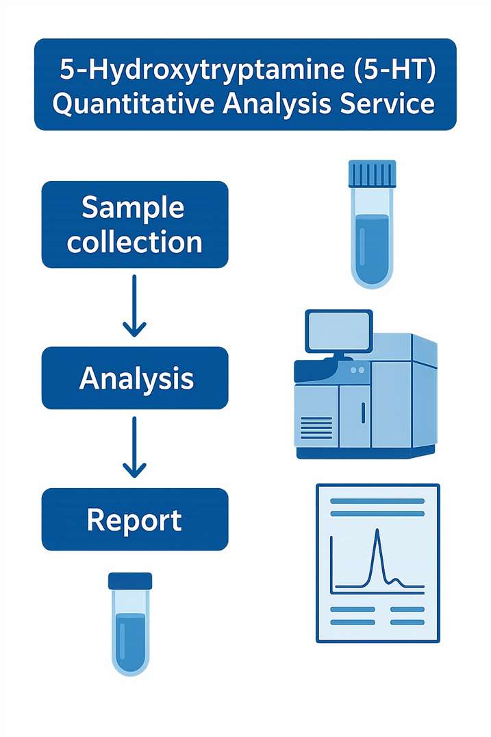 Workflow of 5-HT Quantitative Analysis