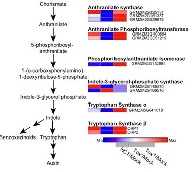 Acetylation Modification Analysis and Omics Techniques for Understanding Cellular Function and Disease Mechanisms