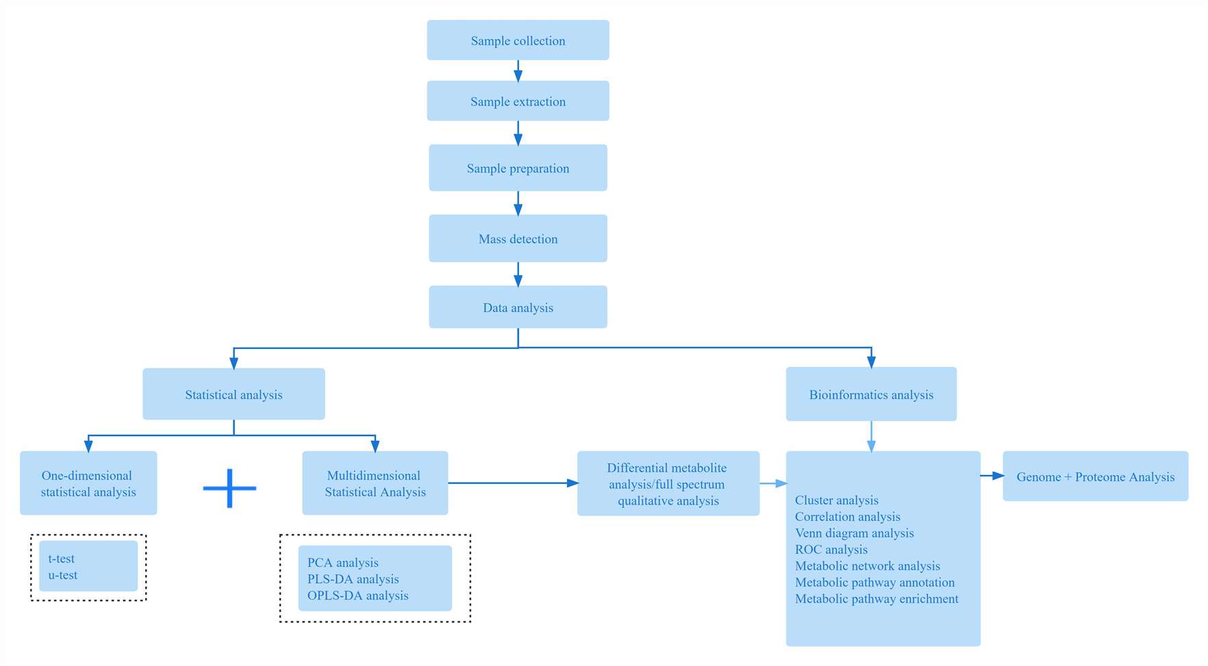 Amino Acids and Derivatives Analysis Workflow