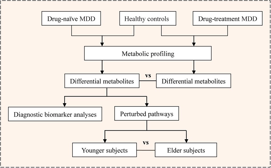 Flowchart of the study analyses in this work.