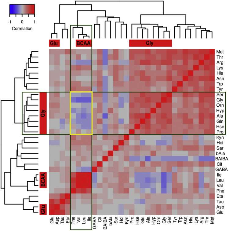 Heat map with hierarchical clustering dendrograms from pairwise Pearson correlations of metabolite abundances for the training set subjects with autism spectrum disorder.