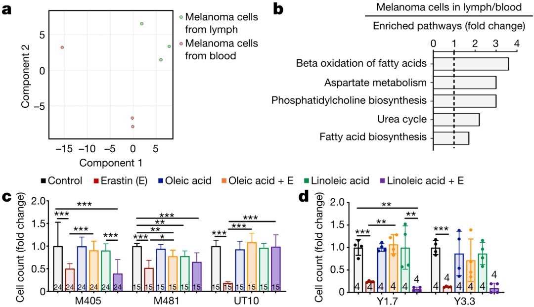 Tumor exosome proteomics after PTX chemotherapy