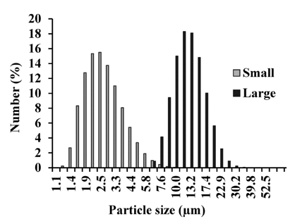 Granule Size Distribution Analysis