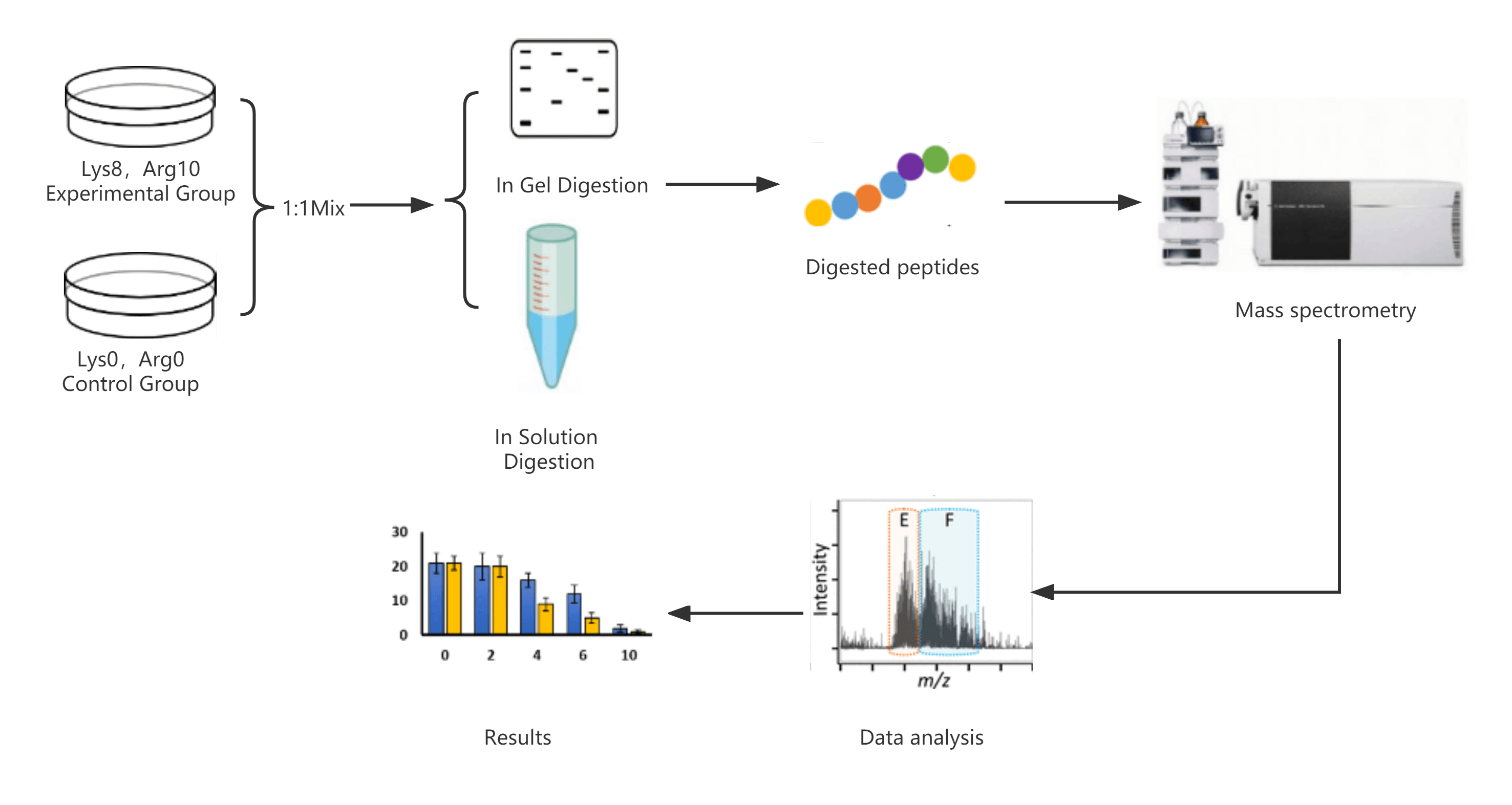 Workflow of Our Histone Isolation and Purification