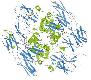Intracellular Protein Crosslinking Detection Methods
