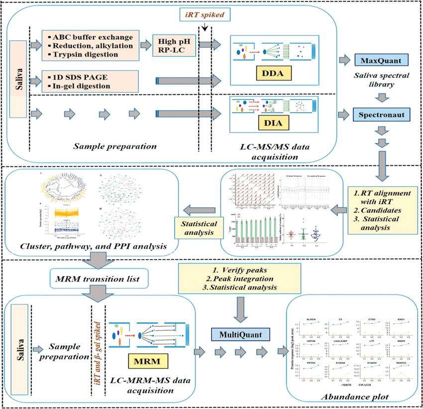 Schematic representation of the label-free quantitative discovery and MRM based targeted validation workflow