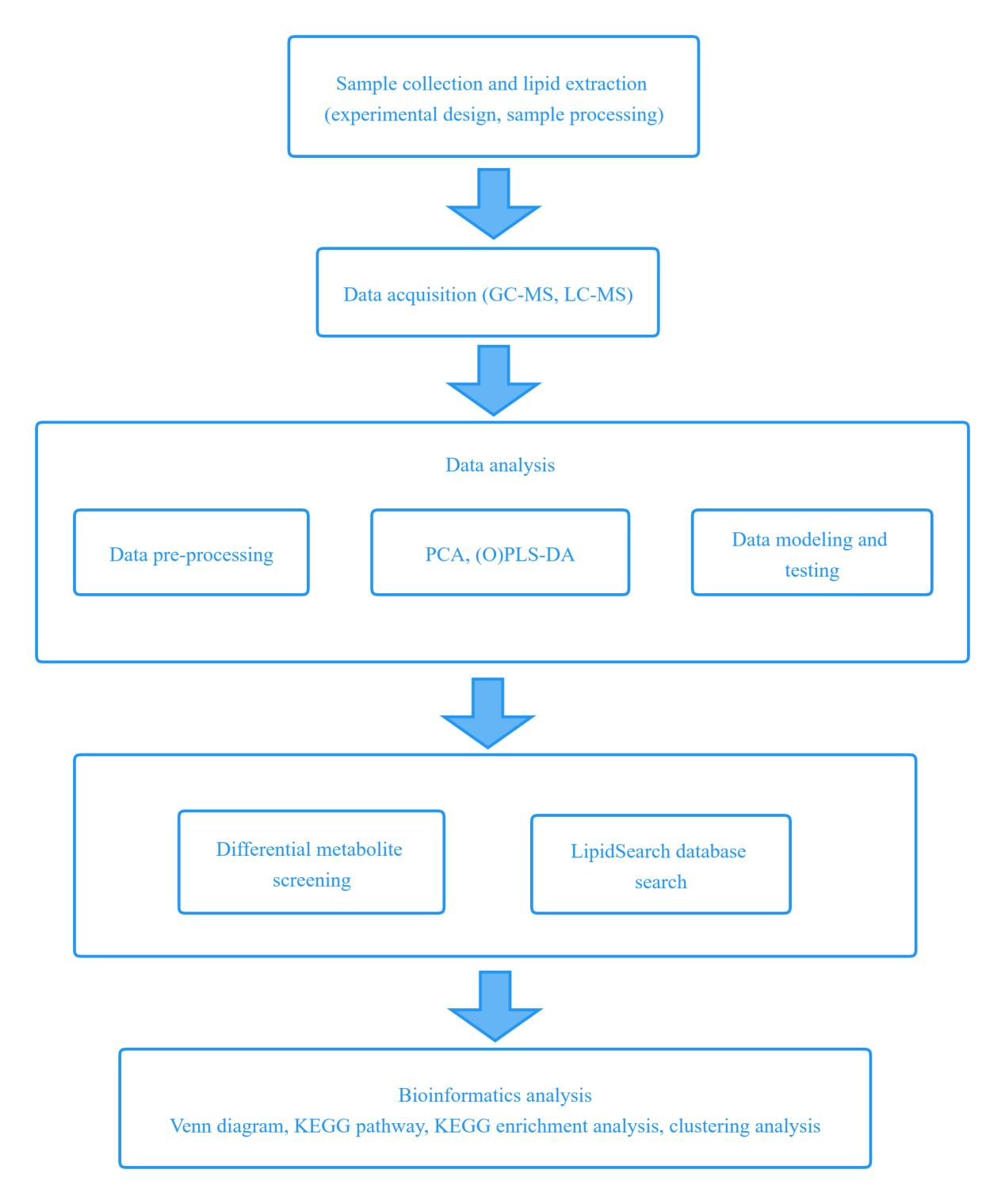 Lipidomics Service