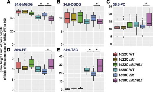 Profiles of Characteristic Glycerolipid Species in Leaves of the Wild-Type, T-DNA Insertion Mutant, and Complemented Plants under Heat Stress.