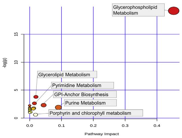 Graph showing pathway analysis based on the 87 metabolites associated significantly with age-related macular degeneration.