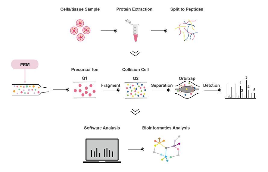 Parallel Reaction Monitoring Workflow