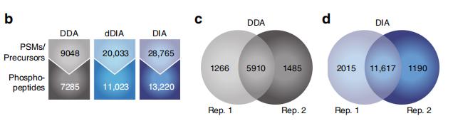 DDA, DIA and dDIA phosphorylated protein assay results