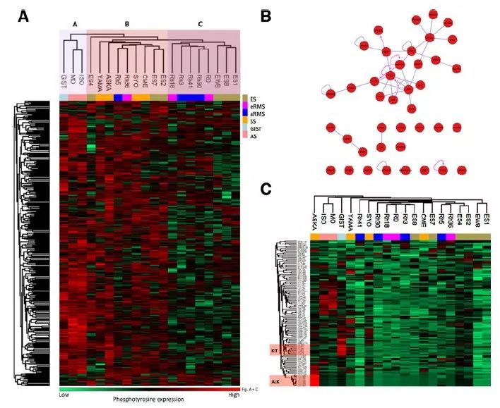 Phosphoproteomics for Investigating Disease Mechanisms and Therapeutic Targets