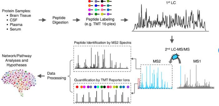 Protein Quantification Technology-TMT Labeling Quantitation