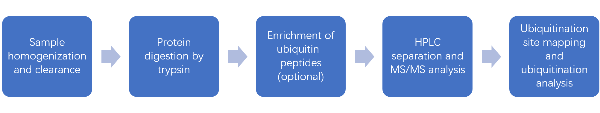 Protein-Ubiquitination-analysis-2.png