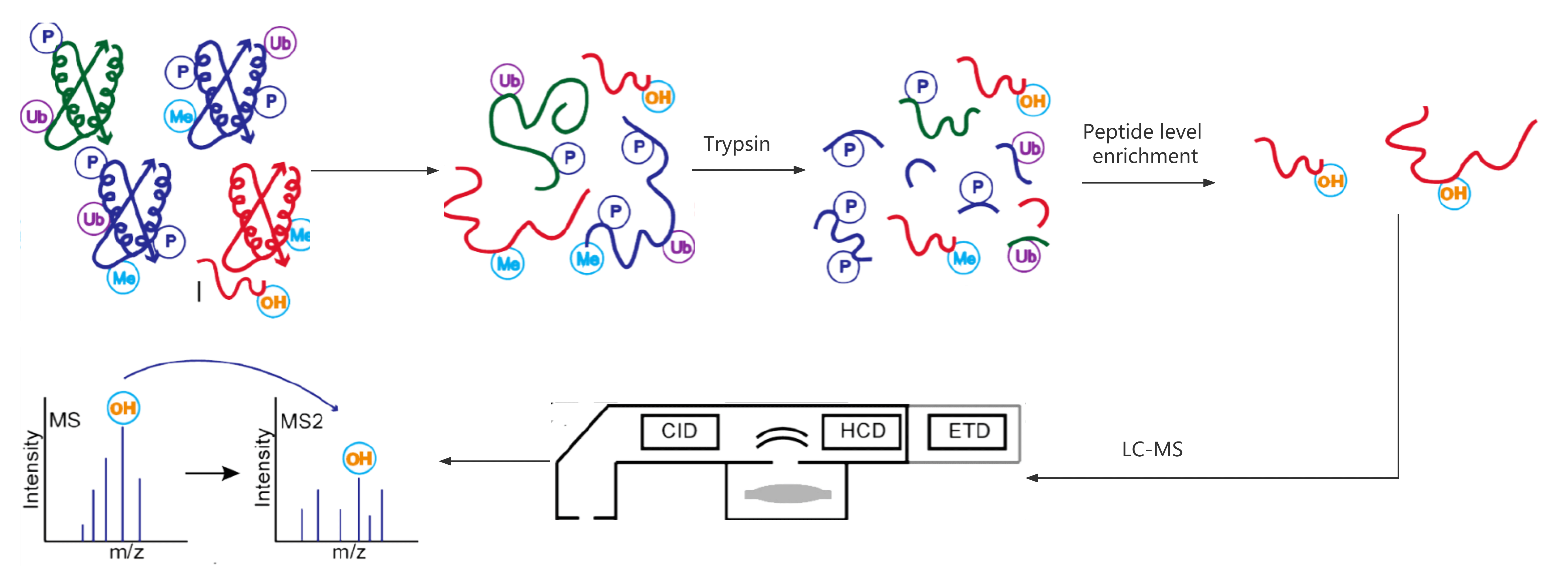 Service Workflow