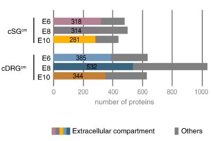 Fraction of proteins depicted to have an extracellular localization in each chick conditioned medium