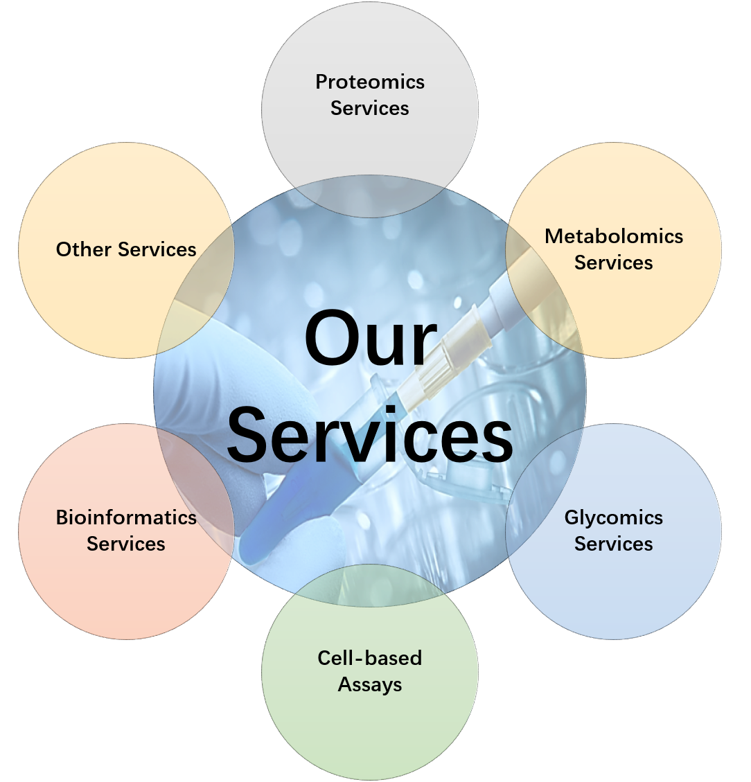 Other Services