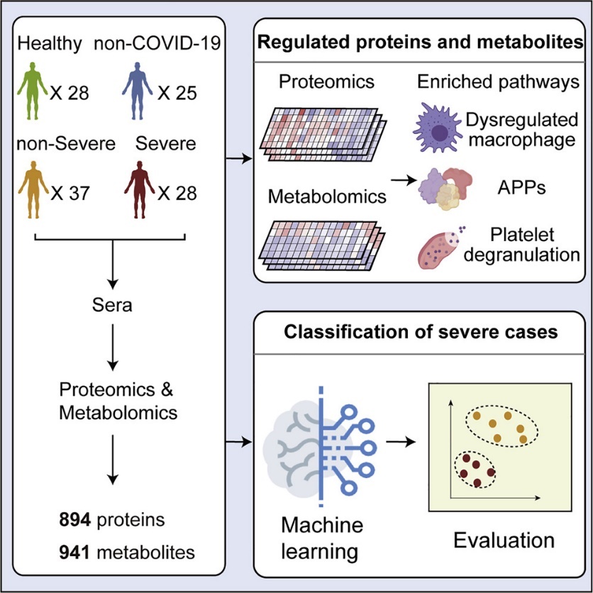 Proteomic and Metabolomic Characterization of COVID-19 Patient Sera