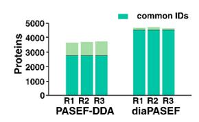 Bar charts of the number of protein groups from triplicates of PASEF-DDA and diaPASEF experiments