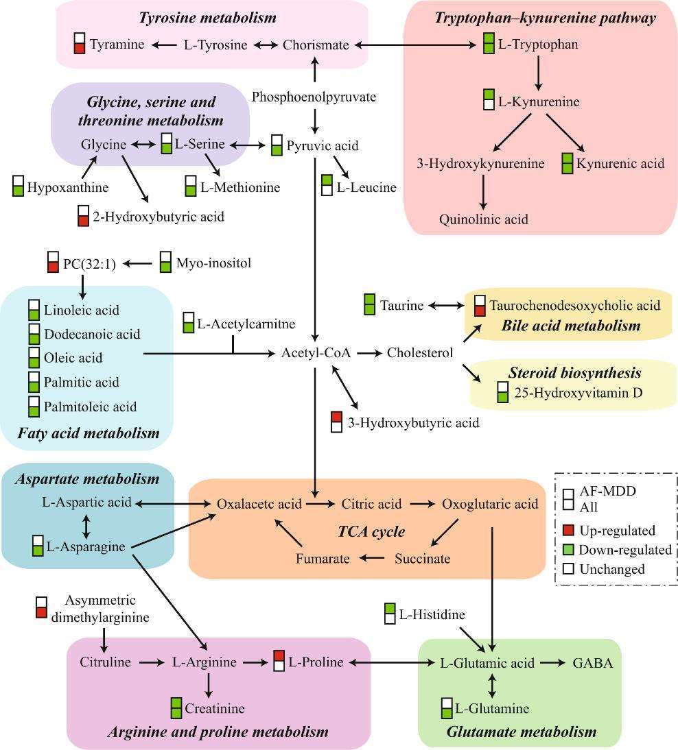 Tryptophan Metabolism in Health and Disease: Insights from Metabolomics