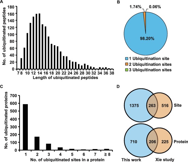 Characteristics of the identified lysine-ubiquitinated peptides in rice young panicles A