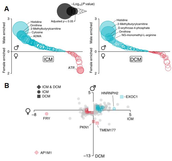 Metabolite-sex interactions plot (A), and protein-sex interactions plot (B)