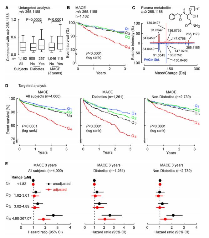 Untargeted Metabolomics Reveals Potential Therapeutic Targets and Biomarkers for Cardiovascular Disease