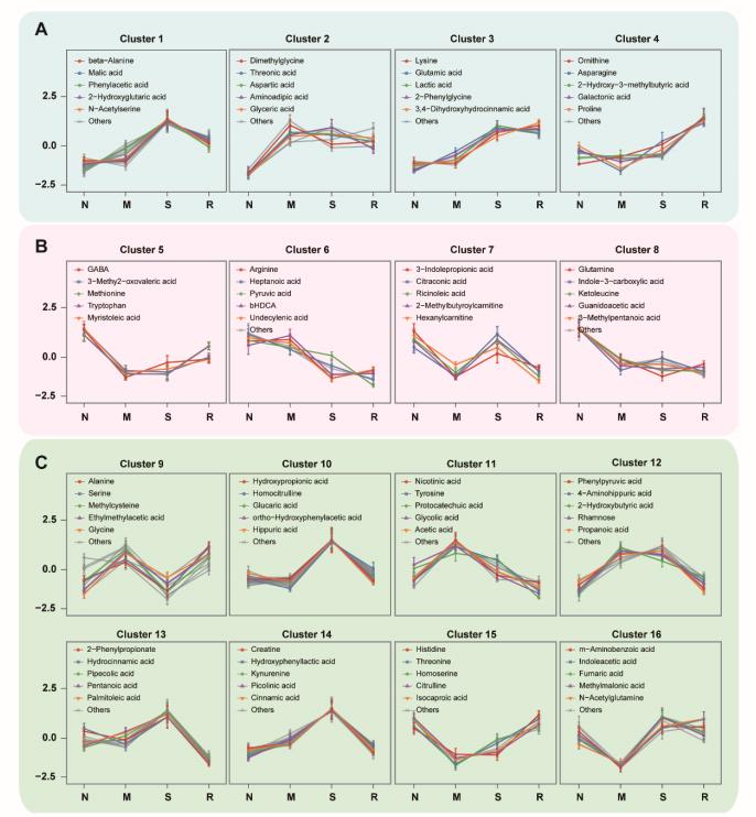 Figure S3 Targeted metabolomics reveals trends in metabolite changes at different stages of the discovery cohort. (A) higher than normal group; (B) lower than normal group; (C) comparable to normal group