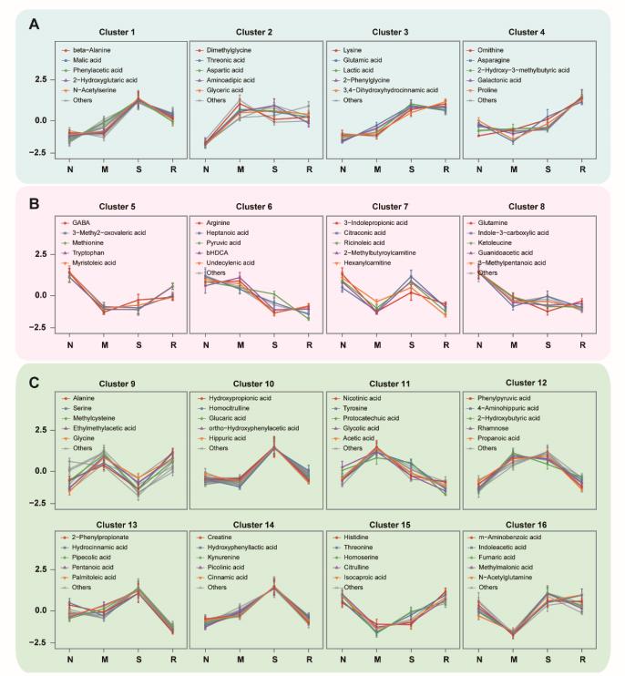 Figure S3 Targeted metabolomics reveals trends in metabolite changes at different stages of the discovery cohort. (A) higher than normal group; (B) lower than normal group; (C) comparable to normal group