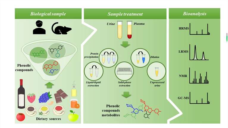 What Are The Analytical Techniques In Metabolomics And How To Choose